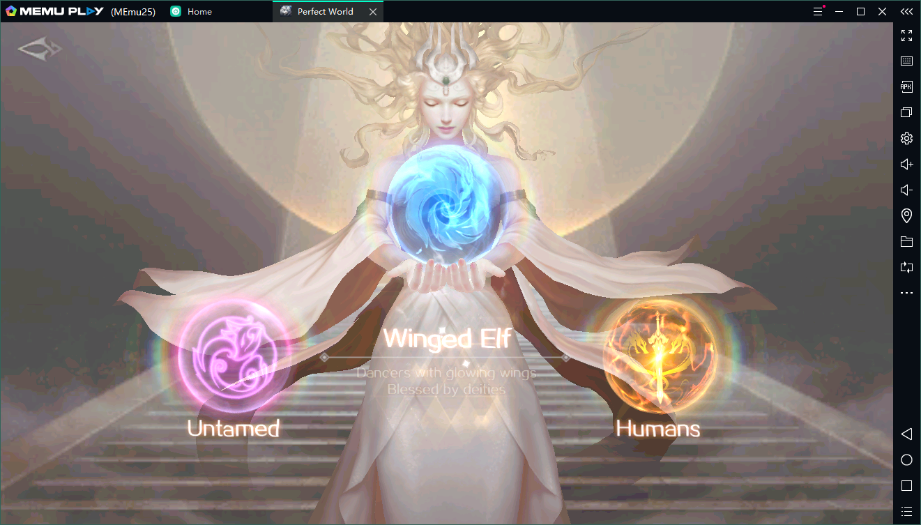 Perfect World Mobile on PC