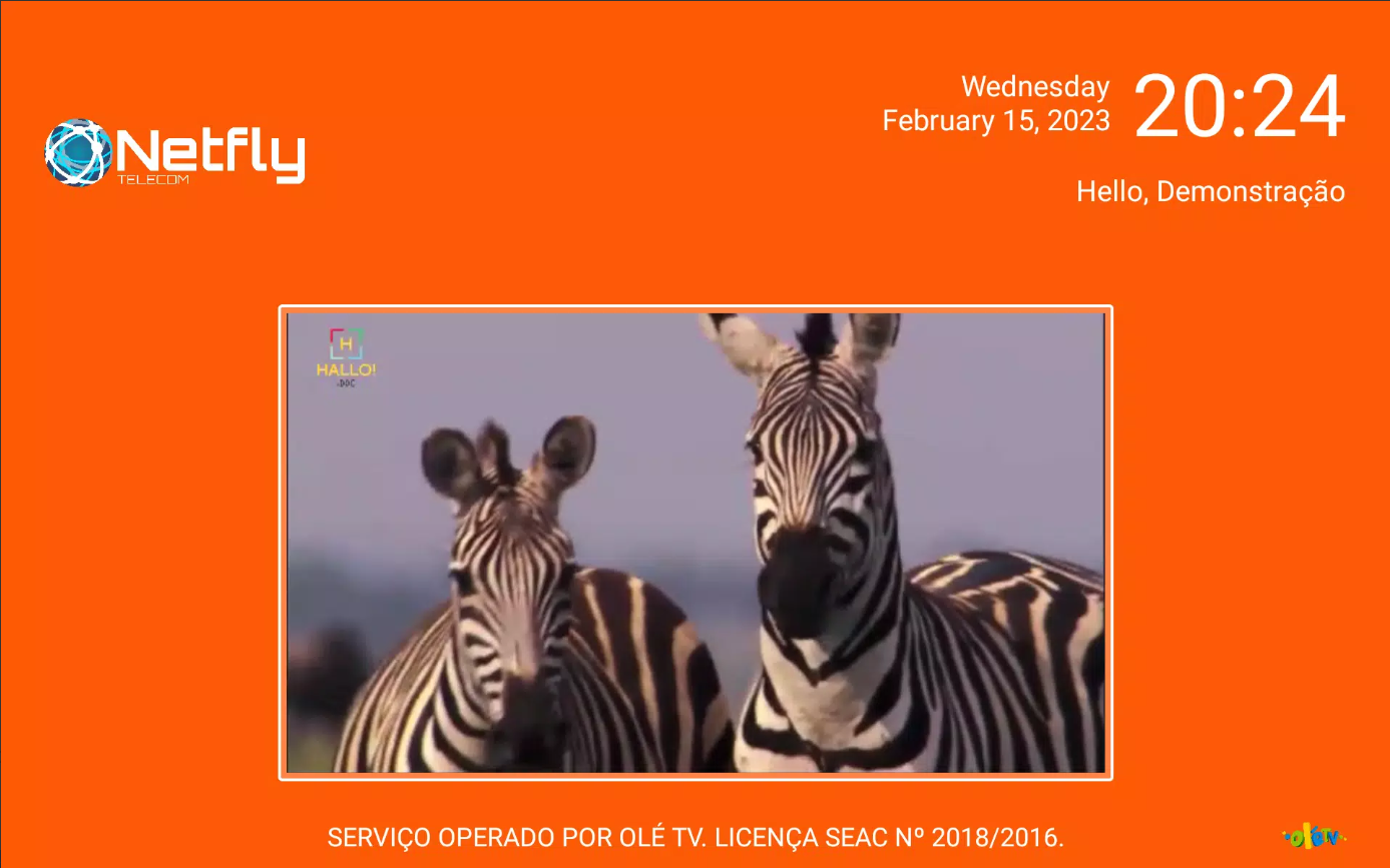 Netfly TV on PC and requirements PC