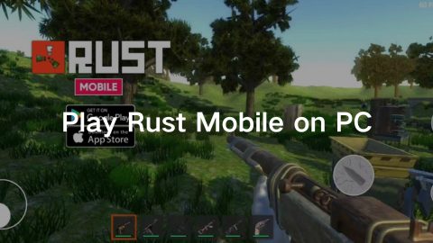 Rust mobile on PC
