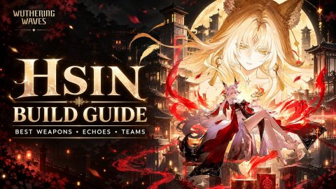 Hsin Build Guide